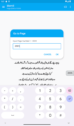 Bismil Novel by Mehrulnisa screenshot 9