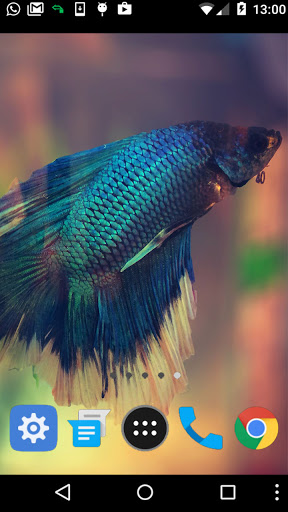 betta fish moving wallpaper Screen 2
