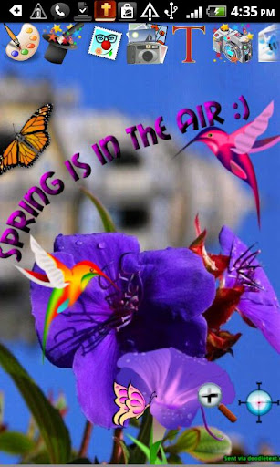 Flowers Butterfly Doodle Text