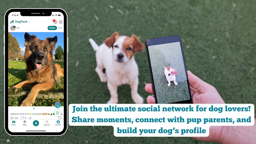 DogPack: Dog Friendly Spots screenshot 17