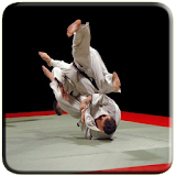Jo-Ho Martial Arts icon