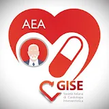 AEA GISE icon
