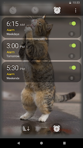 Alarm Clock Pro: Stopwatch, Timer & HIIT 1.8.0.0 Apk 2