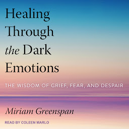 Icon image Healing Through the Dark Emotions: The Wisdom of Grief, Fear, and Despair