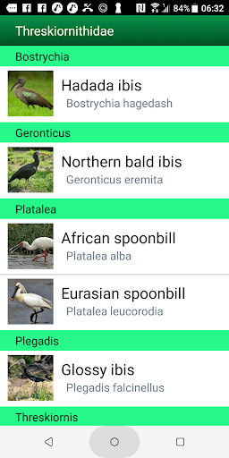Birds of the Northern Africa Screen 3