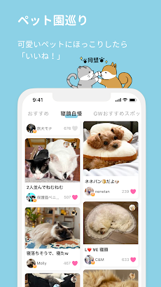 Petのおすすめ画像3