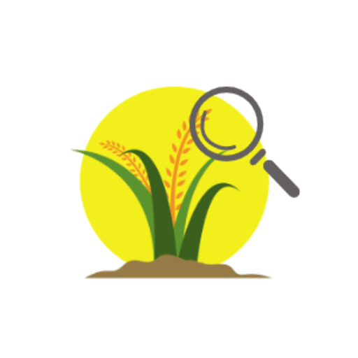 Rice Disease Identifier logo