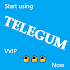 TELEGUM - Private Telegram Channels Finder1.0