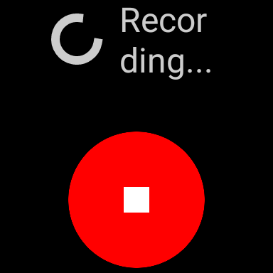Audio Recorder - Smart Watch screenshot 8