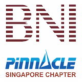 BNI Pinnacle icon