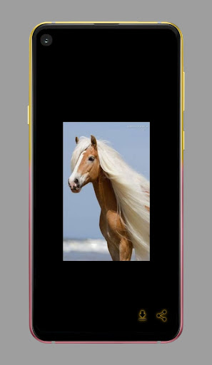 خلفيات صور حيوانات