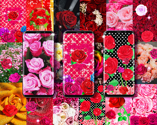 Pink red roses live wallpaper Screen 2