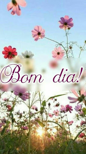 Bom Dia, Boa Noite Imagens GIF Screen 3