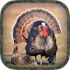Turkey Hunting Calls icon