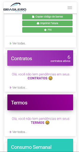 Brasileiro Telecom Assinante Screen 2