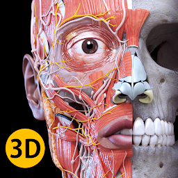 Imagen de ícono de Anatomía - Atlas 3D