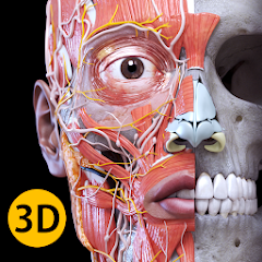 anatomy 3d atlas مهكر