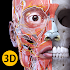 Anatomy 3D Atlas 3.1.1