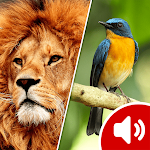 Cover Image of Download Animal Sounds 3.0 APK