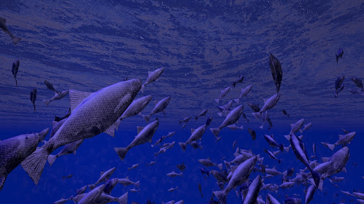 Be a Fish - VR Simulator Screen 3