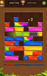 Brain Games-Block Puzzle