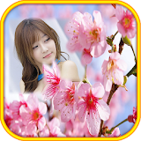 Sakura Flower Photo Frames icon