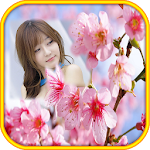 Sakura Flower Photo Frames Apk