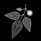 Spice and Herbs icon