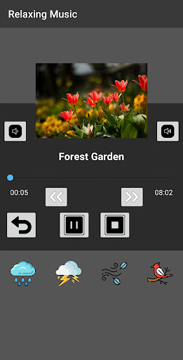 Screenshot 19