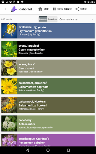 Screenshot of Idaho Wildflowers