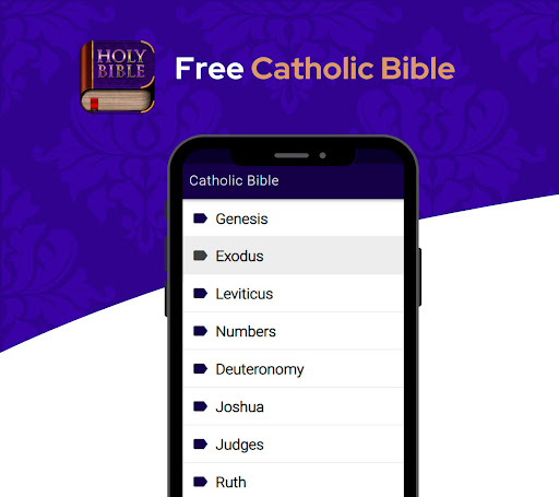 Android application Catholic Bible Douay Rheims screenshort