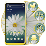 Cover Image of Download White Gerbera Daisy Theme  APK