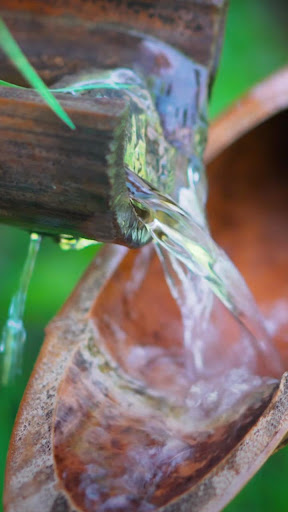 Android application bamboo fountain lwp screenshort
