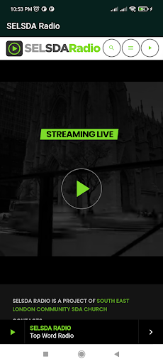 SELSDA Radio Screen 3