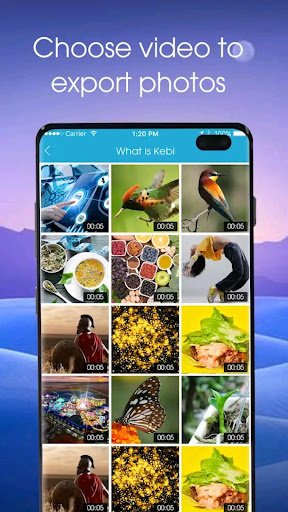 Video to image converter