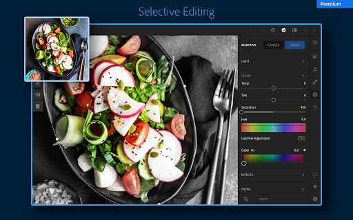 Adobe Lightroom - Photo Editor & Pro Camera 6.2.1 screenshots 14