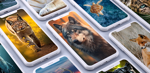 Android application Animals Wallpaper screenshort