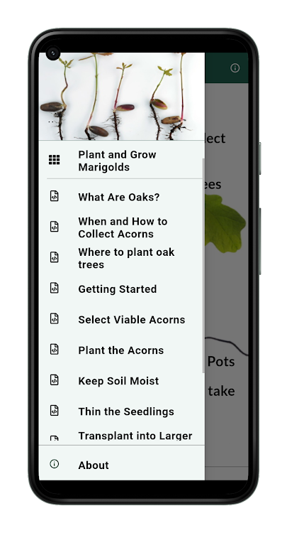 How To Grow Oak Tree - 2.0.0 - (Android)