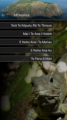 Ngāti Koata Screen 2