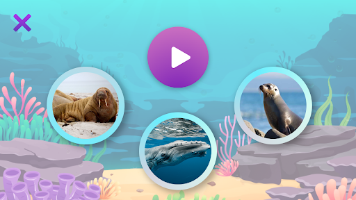 Sounds of the Animals Screen 2