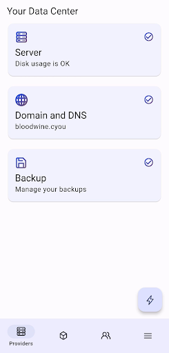 SelfPrivacy Screen 2