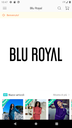 BLUROYAL B2B Screen 2