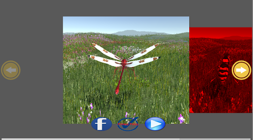 Android application DragonFly screenshort