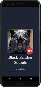 Black Panther Sounds Unknown
