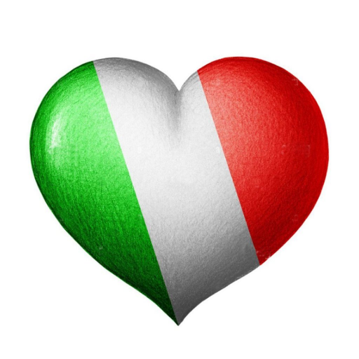 Radio Italo Disco Net logo
