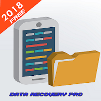 Recovery Data Pro
