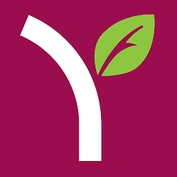 Yogurtland: Download & Review