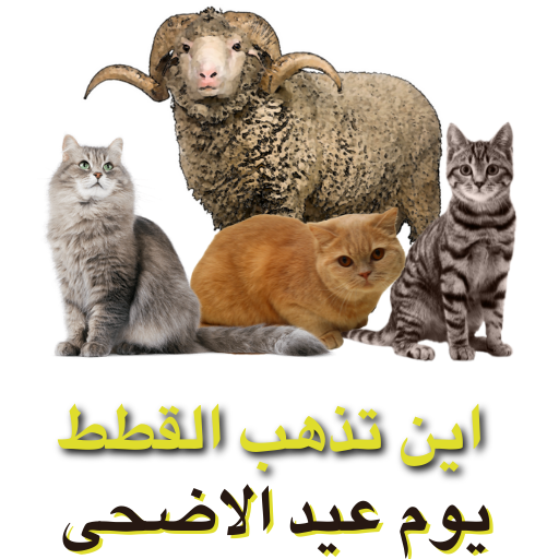 اين تذهب القطط يوم عيد الاضحى logo