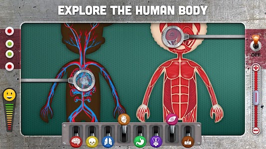 How does The Human Body Work? Unknown