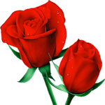 Cover Image of Скачать Roses Flowers Stickers for WAS  APK